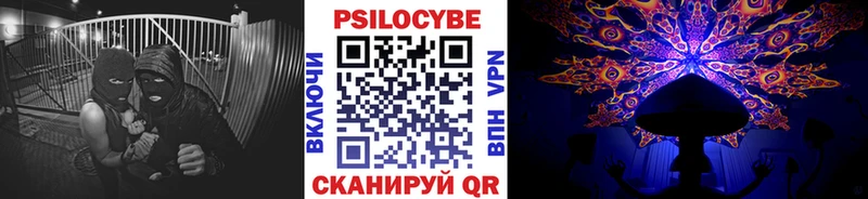 Псилоцибиновые грибы мицелий  где найти наркотики  KRAKEN tor  Белоярский 